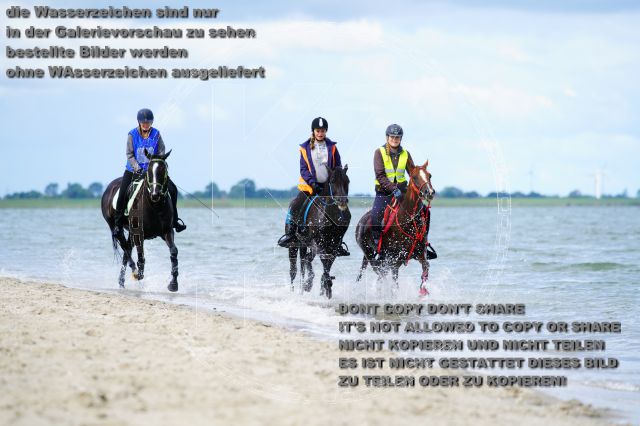 s_K3F05089.JPG